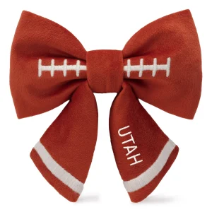Football Embroidered Lady Dog Bow