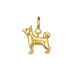 Shiba