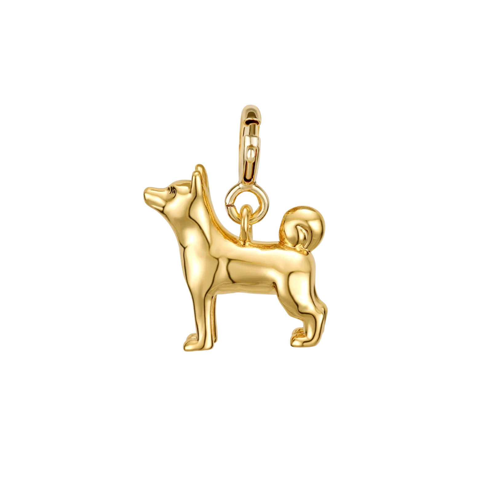 Shiba