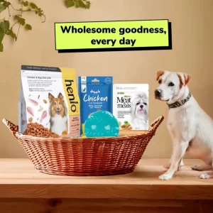 All-in-One Adult Dog Essentials Pack (12 Months+) Food, Treats and Toy