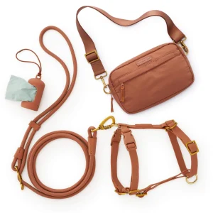 Active Adventure Harness Walk Set (XS/S), Saddle
