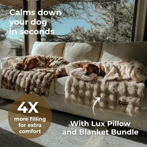 Luxurious Sofa Bed