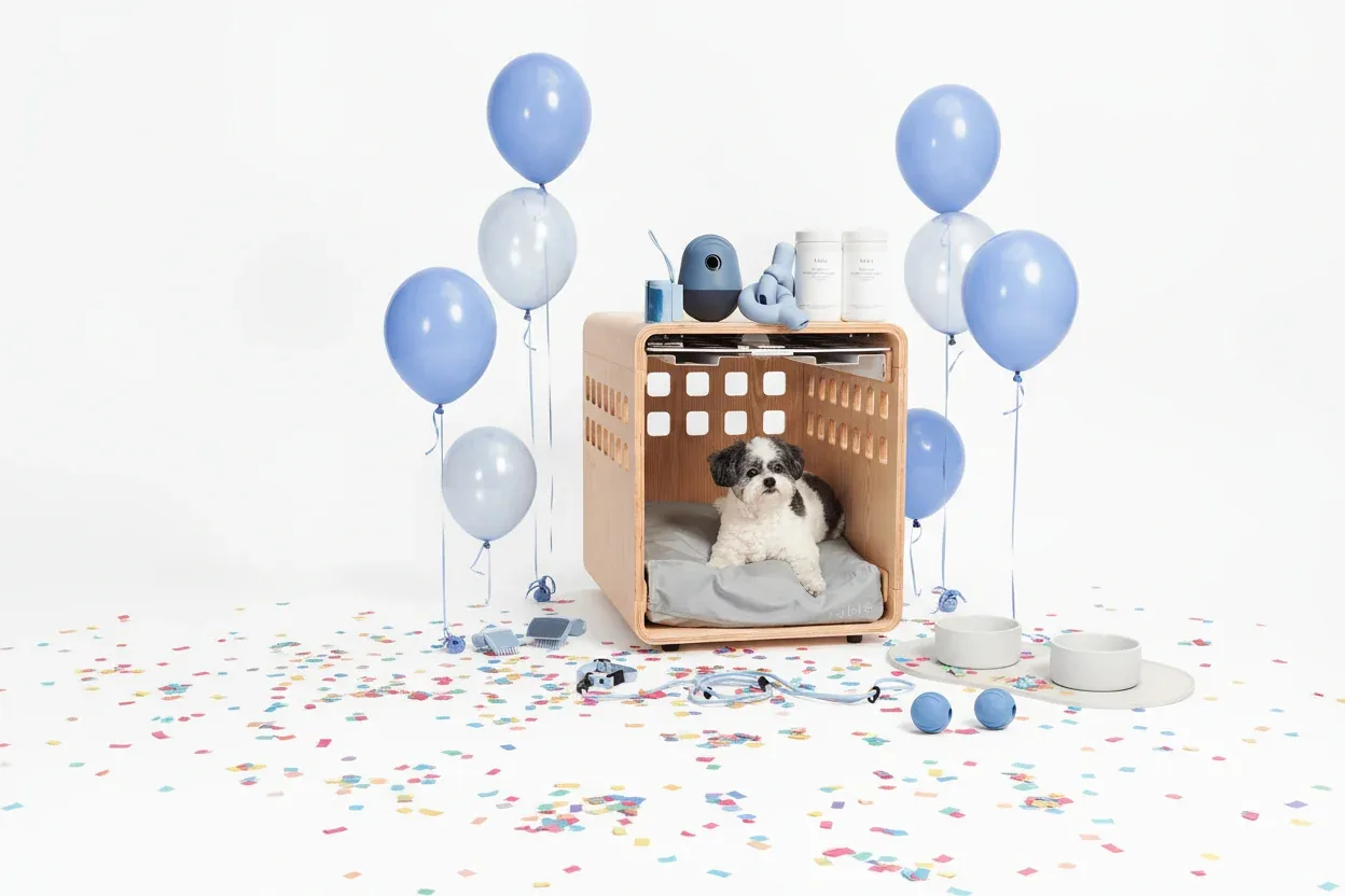 Ultimate Dog Set - Image 2
