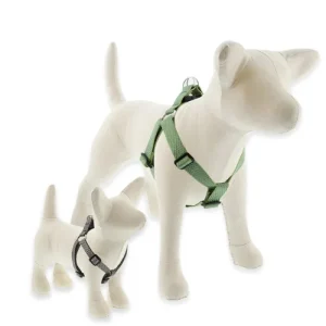ECO Step In Dog Harness