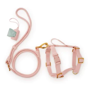 Active Everyday Harness Walk Set - With Handle (M/L), Shell