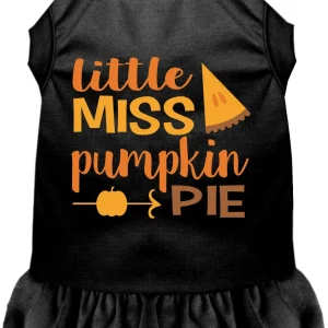 Little Miss Pumpkin Pie Pet Dress