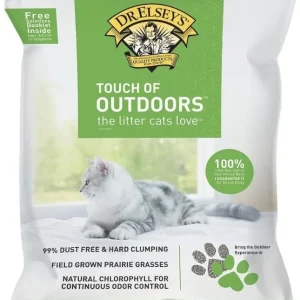 Dr. Elsey's Precious Cat Litter Alternative Premium Clumping Touch of Outdoors Cat Litter - 40 lb Bag