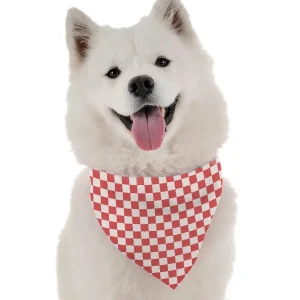 BanDoggie Picnic Dog Bandana - Fun Outdoor Adventure Design