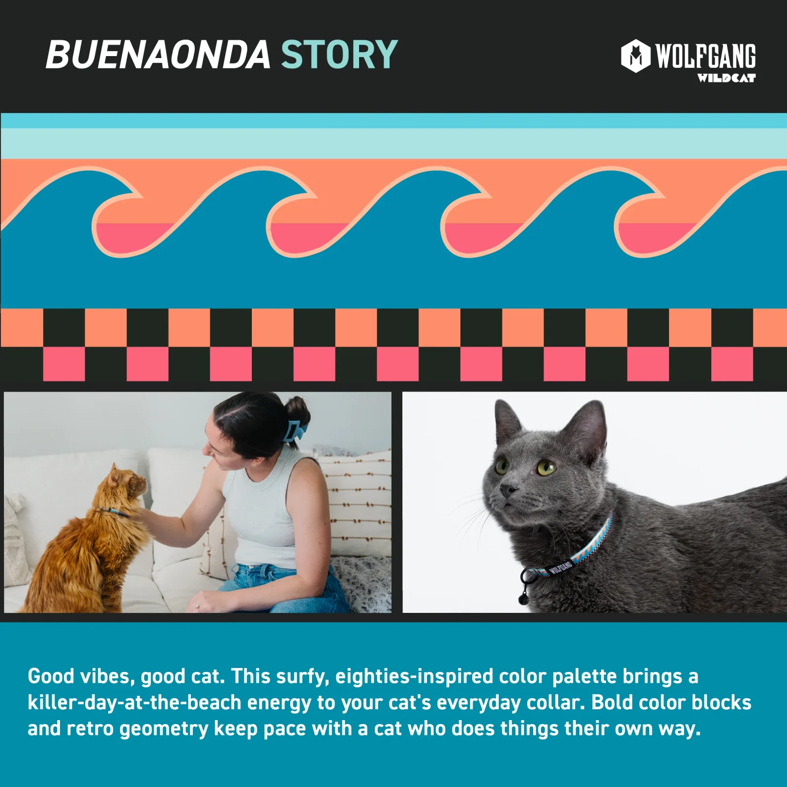 BuenaOnda Venture Cat Collar - Image 2
