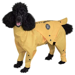 Zippy Dynamics Rainy Raincoat (16")