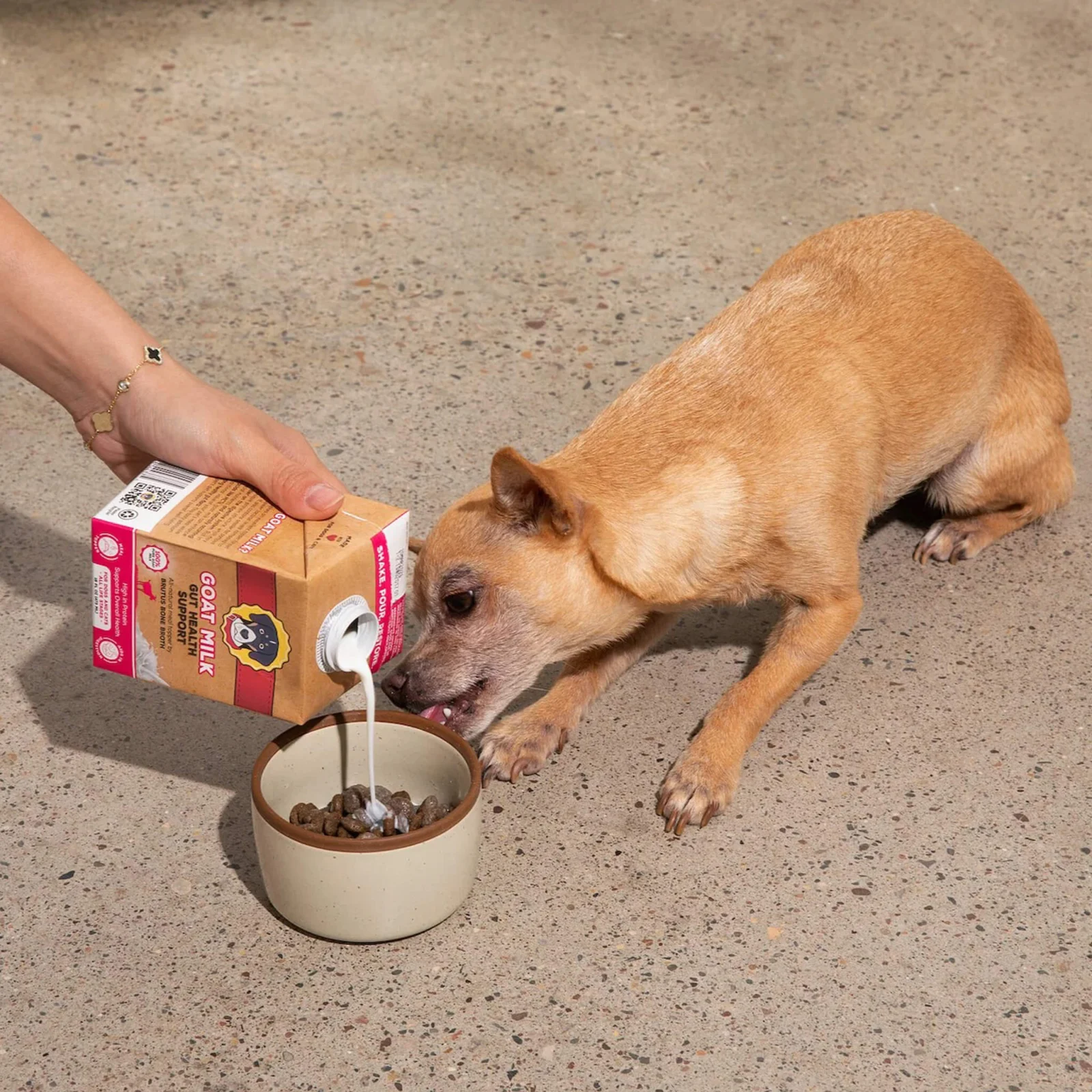 Brutus Bone Broth Goat Milk Gut Health Support Dog Food Topper - Image 2
