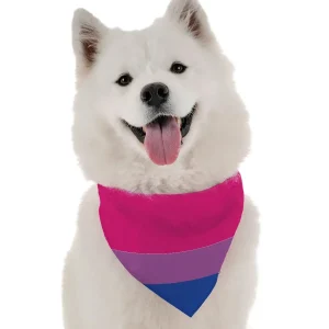 BanDoggie Bi Pride Dog Bandana