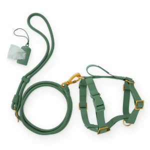 Active Everyday Harness Walk Set - With Handle (M/L), Fern