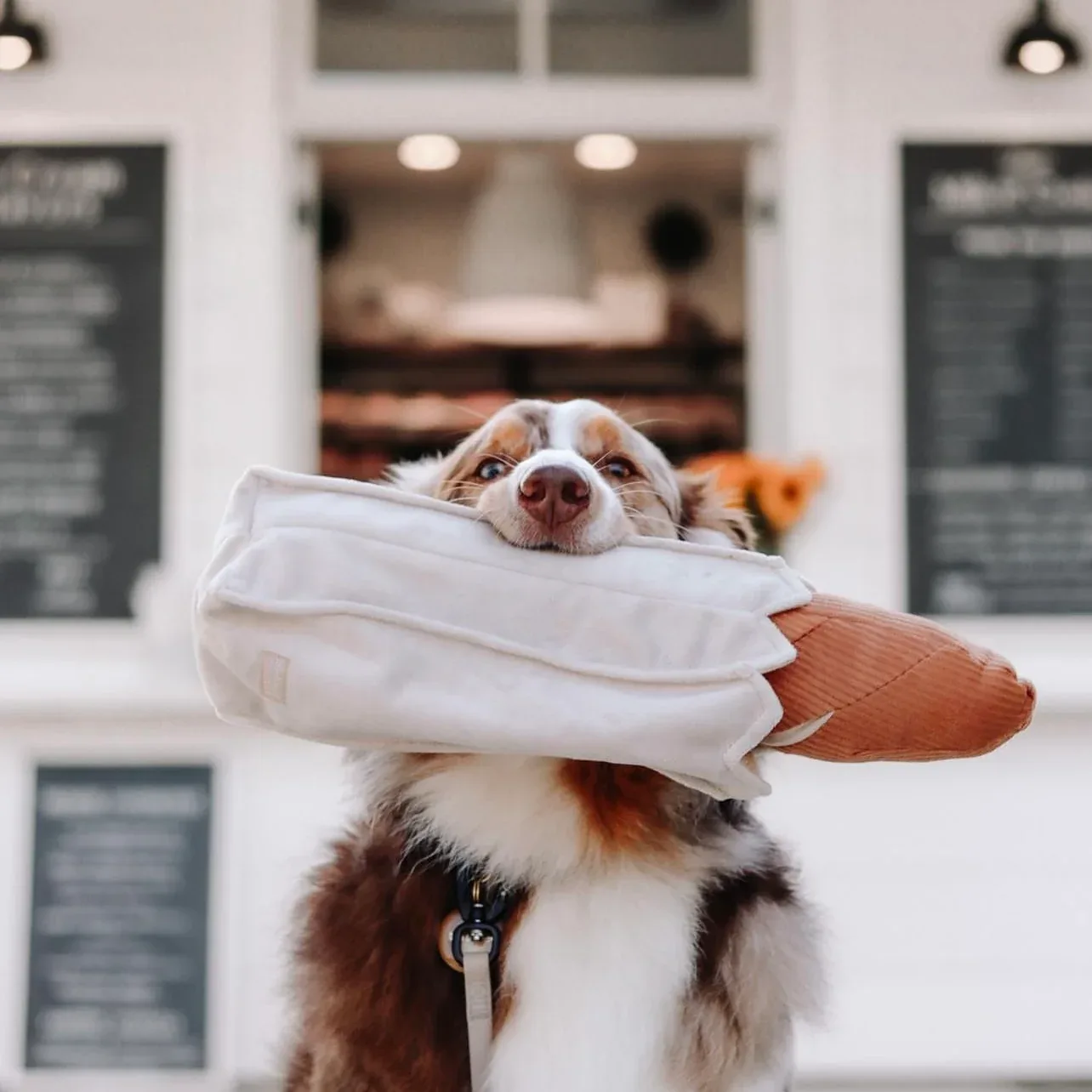 MY BAGUETTE - Image 2