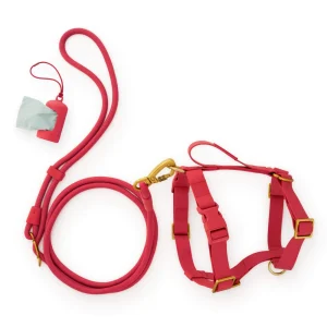 Active Everyday Harness Walk Set - With Handle (M/L), Ember