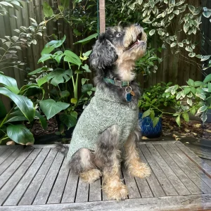 Major Shawl Collar Sweater - Marled Forest Green