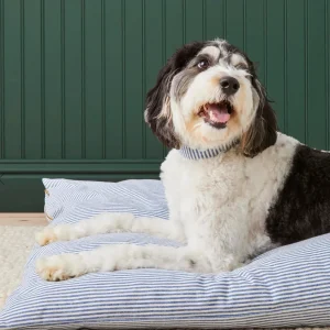 Extra Large Foggy Dog Bed