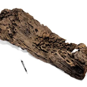 Dragon Wood Showpiece (DW03)