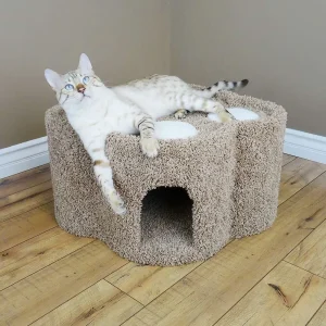 Paw Print Cat Condo — Solid Wood Cat House with Carpet, Cozy Indoor Retreat