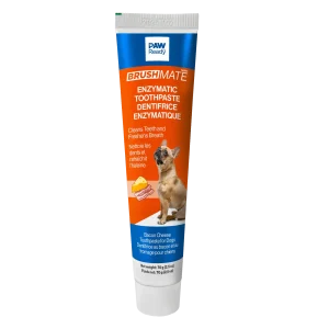 BrushMate ToothPaste