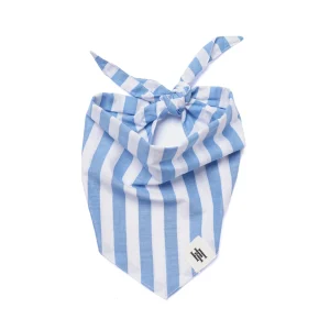 Blue Cabana Stripes Bandana