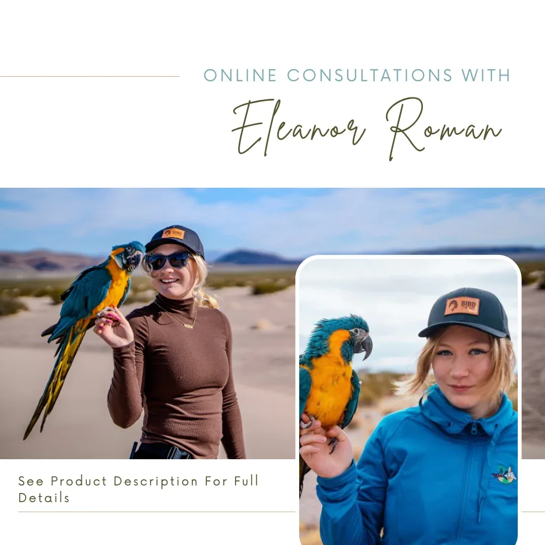 BirdTricks Consultant - Eleanor Roman