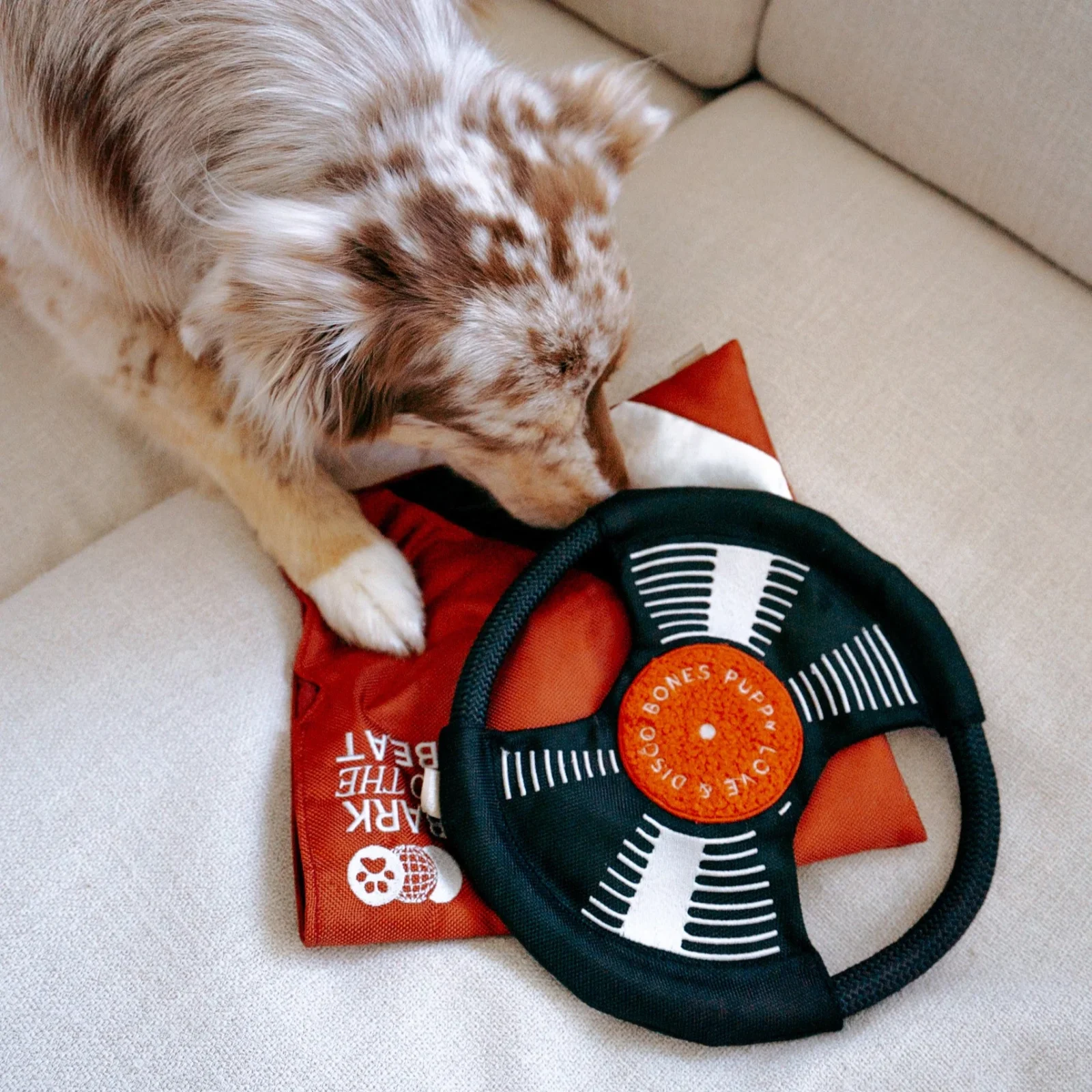 Bark To Beat