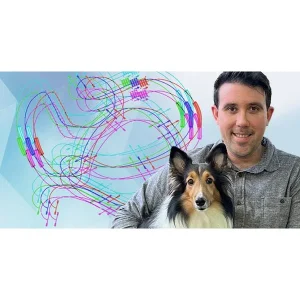Clean Run Agility Course Design - Roadmaps for Success for Handlers, Trainers & Judges