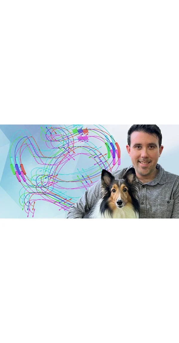 Clean Run Agility Course Design - Roadmaps for Success for Handlers, Trainers & Judges