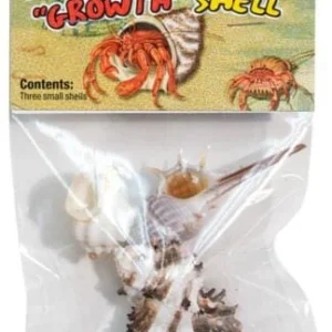 Zoo Med Laboratories Growth Hermit Crab Shells Small - 3 Pack