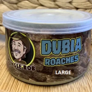 Jungle Bob Dubia Roaches in A Can Large 1.23 oz - 24 ct (Approx 25 ct)