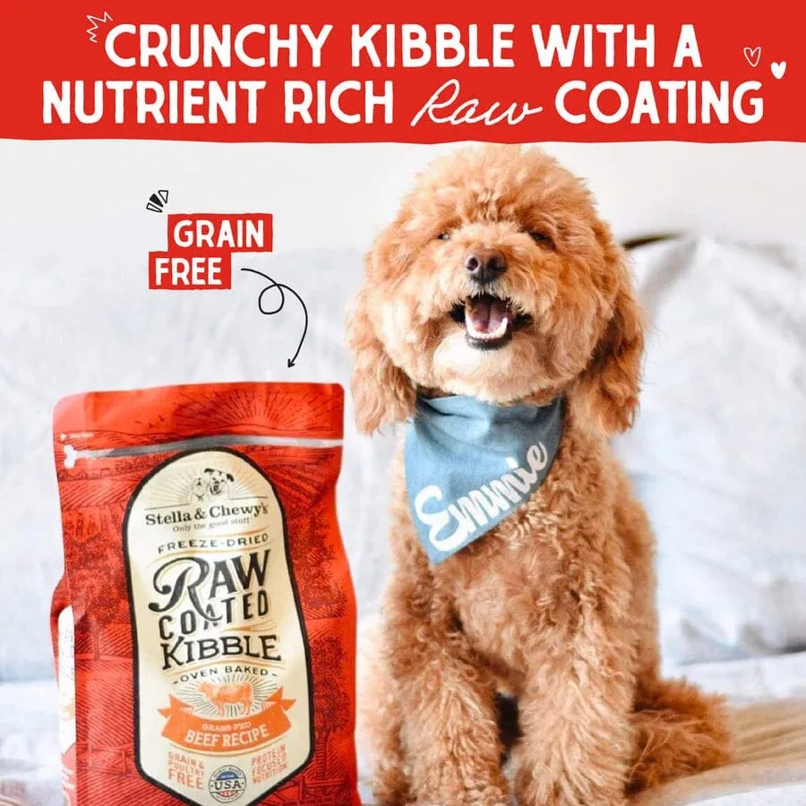 Stella & Chewy's Raw Coated Beef Dry Dog Food - 22 lbs - Image 2