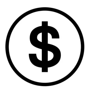 Customization Cost