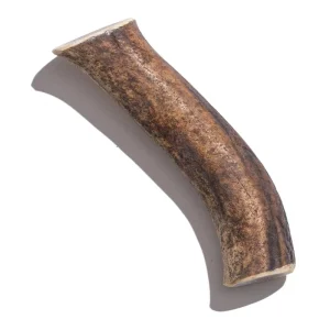 Jack & Pup Elk Whole Giant 6" Dog Natural Chews - 1 Each