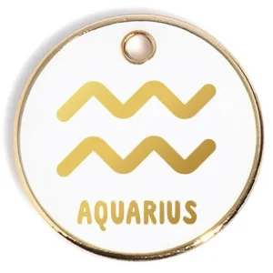 Aquarius Pet ID Tag