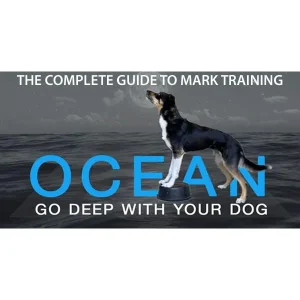 Clean Run The Complete Guide to Mark Training