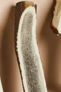 Red Deer Antler Split