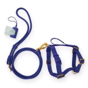 Active Everyday Harness Walk Set - With Handle (M/L), Azure
