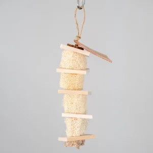 Loofah Forager - Medium Foraging Bird Toy