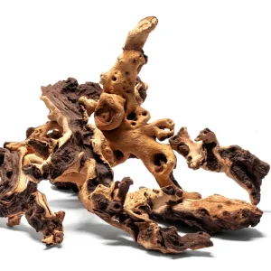 Mopani Wood