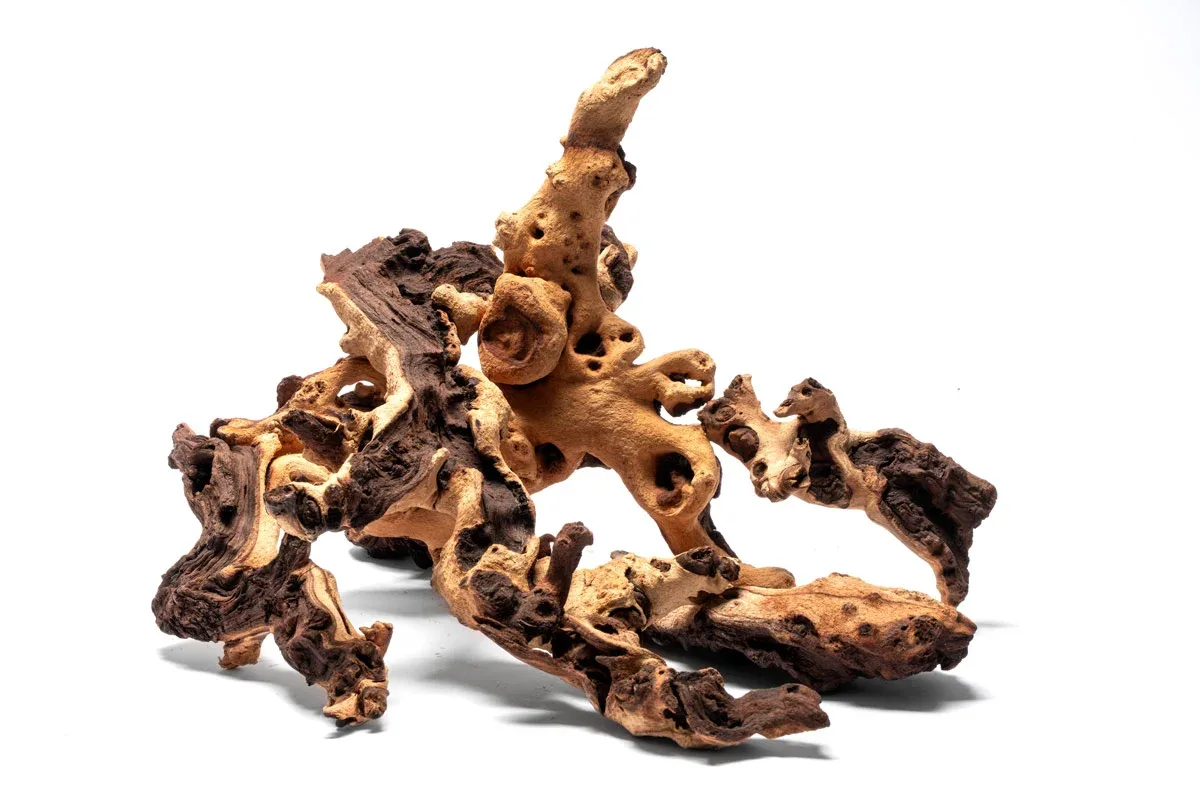 Mopani Wood