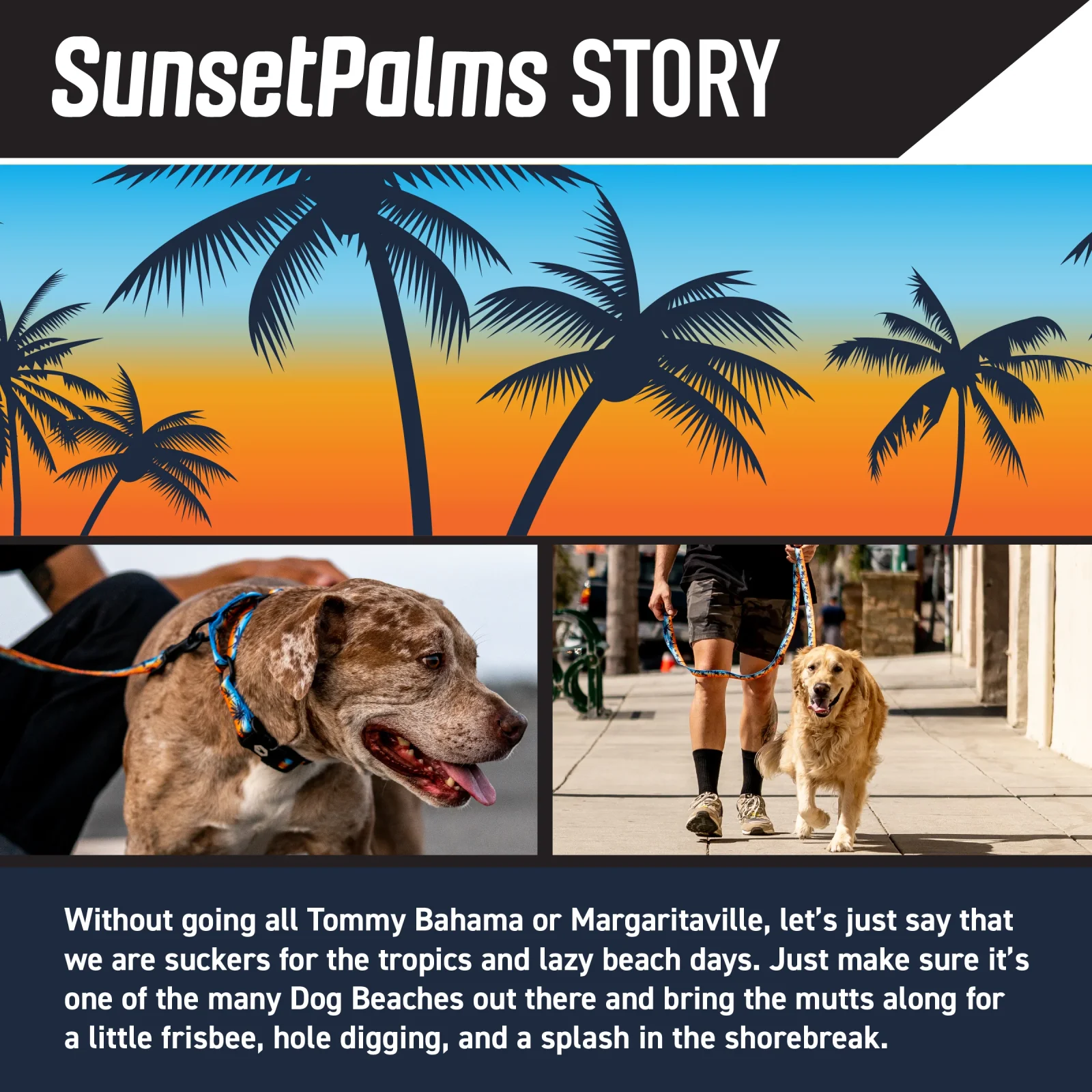 SunsetPalms Dog Leash - Image 2