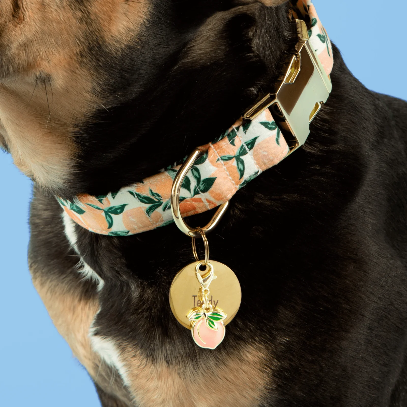 Peach Collar Charm - Image 2