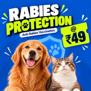 Rabies Protection @ ₹49