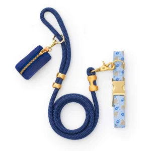 Festival of Lights Collar Walk Set