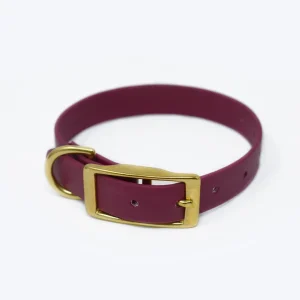 CLASSIC BRASS DOG COLLAR
