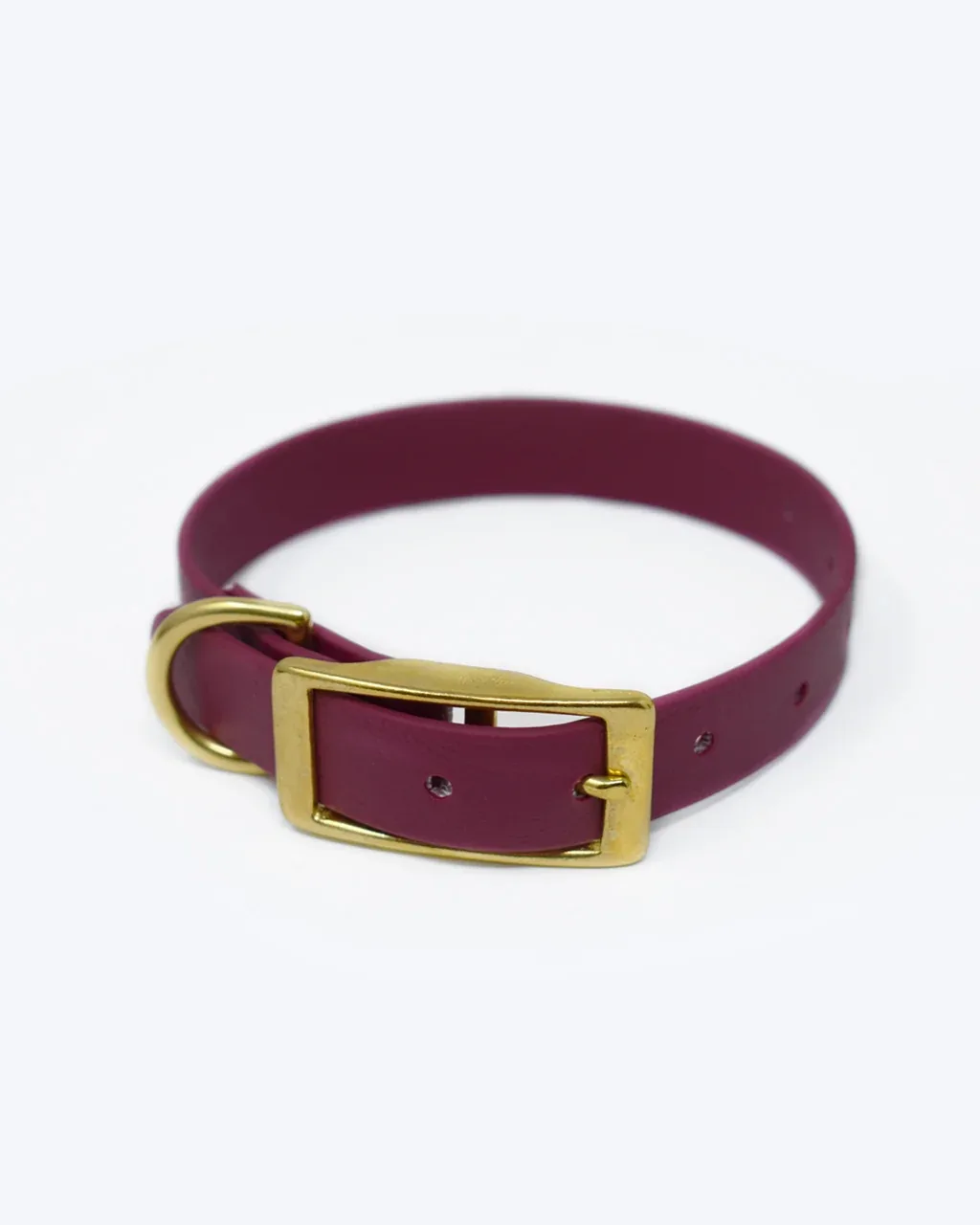 CLASSIC BRASS DOG COLLAR