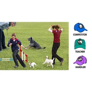 Clean Run The Three Hats of Agility Program - Bundle Deal