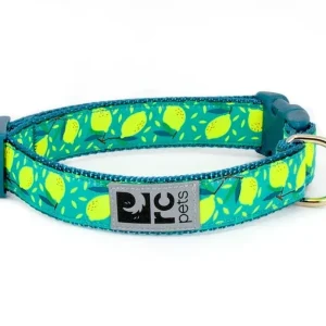 Lemonade Clip Collar