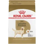 Royal Canin Breed Health Nutrition Labrador Retriever Adult Dry Dog Food